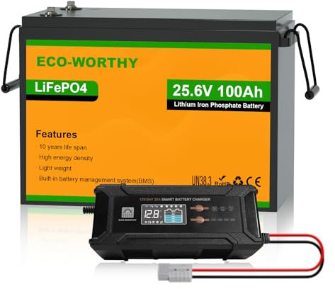 ECO-WORTHY LiFePO4 Batteria litio 24V 100Ah con Caricabatterie 12V/24V 10A, Batteria al litio 100AH con BMS 100A e max. 15000 Cicli per Camper, Roulotte, Barca