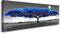 Visario 120 x 40 cm Bild auf Leinwand Blue Tree Blauer Baum 5740-SCT deutsche Marke und Lager - Das Bild Wandbild BZW. Kunstdruck ist fertig gerahmt.