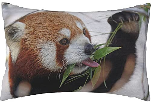 Kissenbezug Netter Roter Panda-Reizendes Tier Im Kalten Winter-Schnee-Design Kissenhülle Bequemer Kissenbezüge Weiche Kissen Bezug Für Zuhause Wohnzimmer Couch ​Bank 40x60 cm