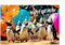 Edition Seidel Premium Geburtstagskarte mit Umschlag. Glückwunschkarte Tier Karte Billet Geburtstag Happy Birthday Mann Frau Coole Pinguine Bunte Ballons Lustige Party Humor (G3530 SW024)