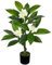 Hollyone 75 cm Kunstpflanze Wie Echt, Tropischer Kunstbaum mit Hawaiianischer Plumeria Weiß, Faux Frangipani Blume Zimmerpflanze für Heimdeko, Wohnzimmer, Schlafzimmer, Büro Dekoration
