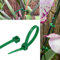 GARDENIX Lot de 100 serre-câbles pour plantes (3,6 mm x 100 mm, vert) réutilisables et réglables