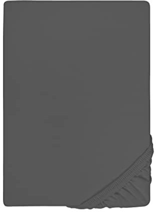 biberna Jersey-Elastic-Spannbetttuch 0077866 (Matratzenhöhe max. 25 cm) 1x 90x190 cm - 100x220 cm, Titanium