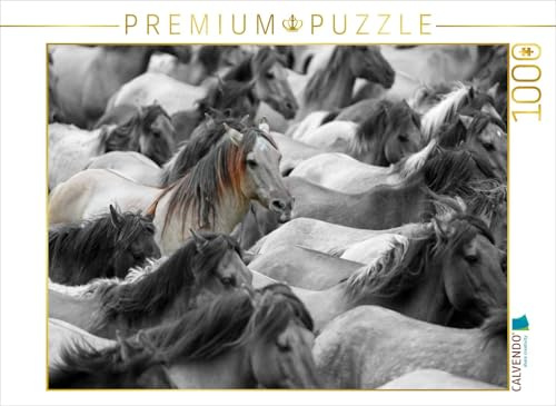 CALVENDO Puzzle Dülmener Wildpferde | 1000 Teile Lege-Größe 64 x 48 cm Foto-Puzzle für glückliche Stunden