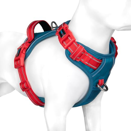 PHOEPET No Pull Hundegeschirr, reflektierende Hundeweste, mit weichem Trainingsgriff für kleine, mittelgroße und große Hunde (Blaugrüne Basis und Rote Träger, XL)