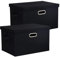 BinWhiz 2-Pack Storage Bins with Lid, 43x31x28 cm Inch Fabric Cube Bins Organizer Basket Foldable Storage Box Containers with Handles for Closet Shelf Home Office Utility Room - Black