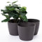 Home Garden Ornaments VITO Plant Pots Indoor, Set of 3 Indoor Plant Pot with 3D Effect, No Drainage Holes, Plastic Flower Pots (Diameter: 13cm, Colour: Anthracite)