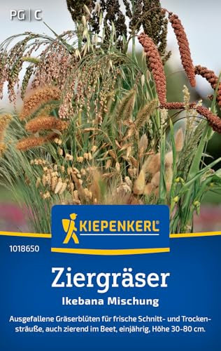Kiepenkerl Ziergräsersamen Ikebana Mischung 1018650 - ausgefallene Gräserblüten für frische Schnitt- und Trockensträuße - Saatgut, Pflanzensamen