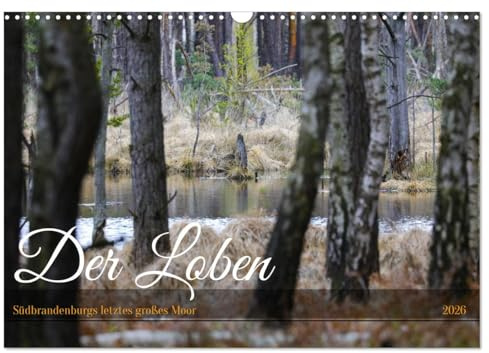Der Loben. Im Reich der Moorgeister und Kreuzottern- Südbrandenburgs letztes großes Moor (Wandkalender 2026 DIN A3 quer), CALVENDO Monatskalender: ... Heidelandschaft (CALVENDO Natur)