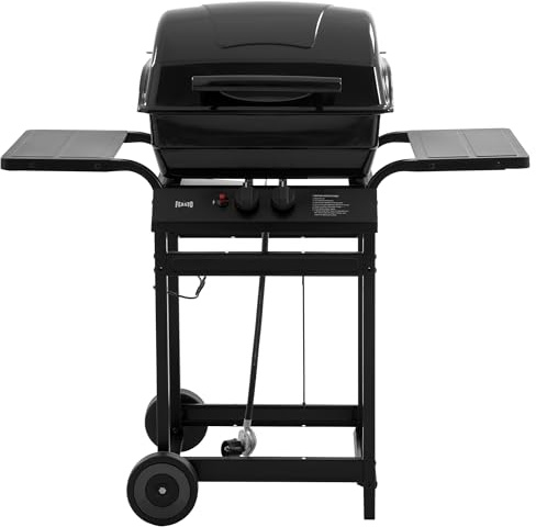 Feasto 2 Burner Propane Gas Grill with 26,500 BTUs Output, Porcelain-Enamel Main Body and Lid, Propane BBQ Grill with Warming Rack & Side Tables for Patio, Backyard, Poolside Gatherings