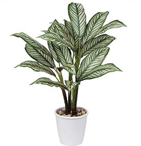 Kunstpflanze Calathea Ornata 63CM Kunstpflanze Groß im Topf Deko für drinnen und draußen, Moderne Dekoration, Dekoration Badezimmer Wohnzimmer Schlafzimmer Balkon