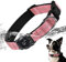 AirTag Hundehalsband, IP68 wasserdichte Integriertes Apple Air Tag Halter Hundehalsband mit AirTag Halter, Reflektierend, Besonders haltbar, Hundehalsbänder für mittlere große Hunde (Rosa, L)