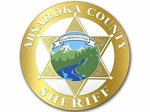 WildeBabsKLBT 11cm Hochwertiger Auto-Aufkleber Sticker Decal Autoaufkleber Aufkleber-Folie Wetterfest Absaroka County Sheriff Gold F2801