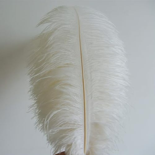 30 pièces de plumes d'autruche, Plumes Grand Pour la maison Décoration de mariage, Bricolage, Plumes d'autruche Vase (Blanc)
