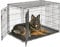 MidWest Homes for Pets iCrate Modell 1542DDU Hundebox, ca. 122 cm lang, mit Doppeltür, auslaufsicherer Bodenwanne, Bodenschutzfüßen, mit Trenneinsatz und patentierten Funktionen, schwarz
