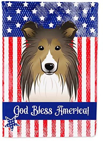 Caroline 's Treasures bb2172gf Gott segne American Flagge mit Sheltie Garten Flagge, klein, Multicolor