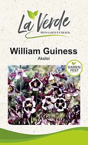 Akelei William Guiness Blumensamen