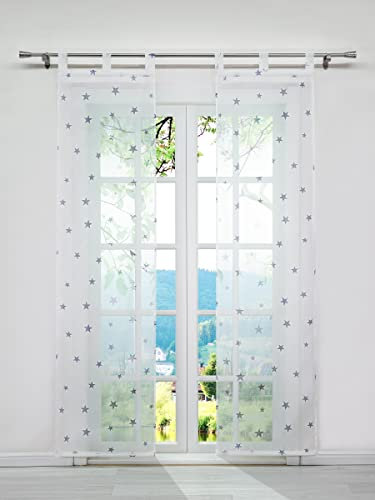 ESLIR Schiebegardinen Set 2er Flächenvorhänge Gardinen mit Schlaufen Schiebevorhang Transparent Schlaufenschal mit Sterne Muster Voile Modern Grau BxH 57x145cm 2 Stück