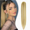 Dcbaboo Ponytail Extension Pferdeschwanz Haarteil Zopf Extension mit Klammer Gerade Lang Haarverlängerung Zopf Clip Synthetik Glatt Pferdeschwanz Haarextension, 50cm Sandy Blonde & Bleichblond