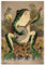 Retro-Frosch-Poster, lustiger Banjo-Frosch, Leinwand-Kunstposter, 30,5 x 45,7 cm, ungerahmt, Vintage-Frosch, Bilddrucke, Wanddekoration