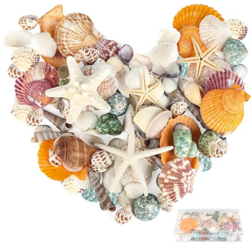 RISF 350g Muscheln Gemischt, 14 Arten Muscheln zum Basteln und 3 Arten Seestern, 3-9cm Muscheln Deko mit Aufbewahrungsbox, Meeresmuscheln für Vase Füller, Hochzeit Dekorationen, DIY Handwerk