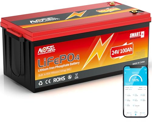 Batteria al litio LiFePO4 da 24 V, 100 Ah con Bluetooth - BMS da 100 integrato, protezione a basse temperature, 4000-15000+ cicli - Celle di fosfato di ferro al litio di grado A, per motore da traino