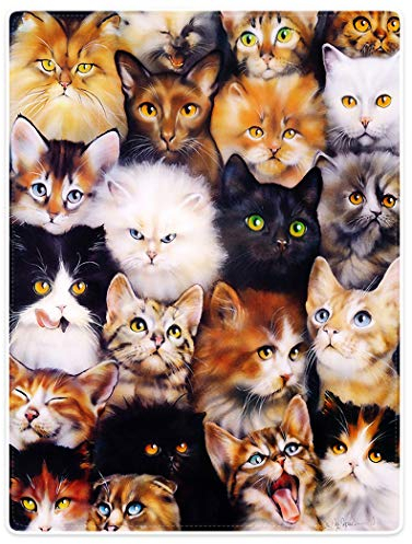 YISUMEI Decke 125x150 cm Kuscheldecken Sanft Flanell Weich Fleecedecke Nettes Katzen Zucht Collagen Haustier