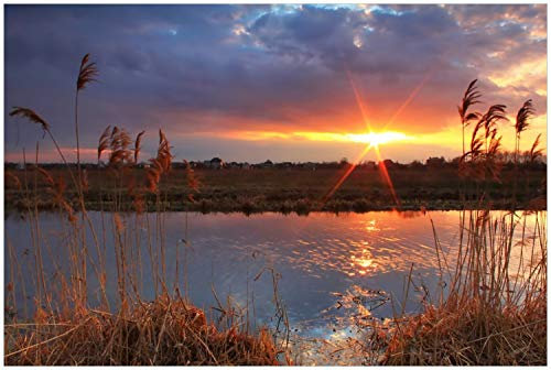 Wallario Glasbild Sonnenuntergang über dem Fluss, Gräser im Wind - 60 x 90 cm Wandbilder Glas in Premium-Qualität: Brillante Farben, freischwebende Optik