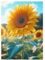 FZSECRIU 1 Stück diamond painting erwachsene，diamant painting bilder，daiments painting erwachsene，diamant painting bilder erwachsene，dimond painting