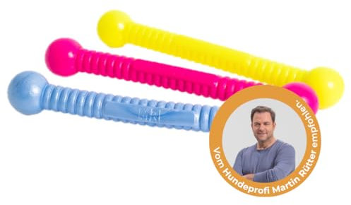 Martin Rütter FUNSTIX Stöckchenersatz für Hunde Größe: M, Farbe: Neonpink – Flexibler & sicherer Apportierstab aus TPE – Schwimmfähig, robust & lebensmittelecht