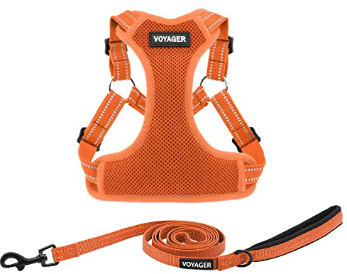 Best Pet Supplies Voyager verstellbares Hundegeschirr mit reflektierenden Streifen für Spaziergänge, robuste Ganzkörper, Keine Zieh-Weste mit Leine, D-Ring, atmungsaktiv, Allwetter-Geschirr (Orange),