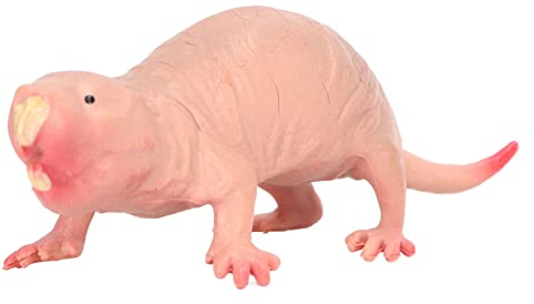 SPYMINNPOO Plastik Maulwurf Figur Spielzeug, Lebensechte Solide Nackte Maulwurf Modell für Kinder Sand Tisch Ornamente