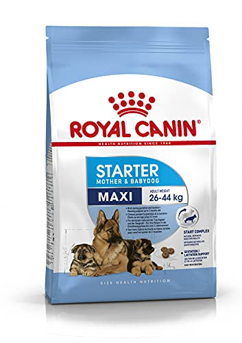 ROYAL CANIN Maxi Starter Mother & Babydog - 15 kg