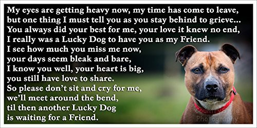 Staffordshire Bull Terrier Staffy sympathy bereavement pet dog loss Flexible Fridge Magnet Memorial - Lucky Dog