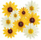 EASY JOY Sunflower Party Decorations 9Pcs Yellow Spring Paper Flowers Wall Decorations Sunflower Theme Hanging Fans for Spring Summer Birthday Baby Shower Party Supplies
