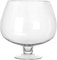 VANZACK Cuenco De Burbujas Transparente Pecera De Cristal Terrario Globo Florero Copa Terrario Contenedor Hidropónico Tanque Betta Cuenco De Lirio De Agua para Decoración