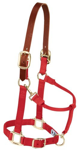 Weaver Leather Sicherheits-Halfter für Pferde aus Nylon, verstellbar, durchschnittliche Größe, Rot