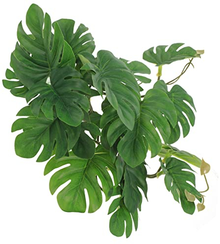 POPETPOP Décoration De Plantes De Reptiles Plantes De Reptiles Terrarium Gecko Terrariums en Verre pour Plantes Plantes De Terrarium Suspendues Cachette De Reptiles Plantes De Dragon Barbu
