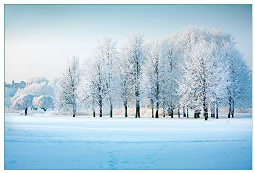 Wallario Küchenrückwand selbstklebend 90 x 60 cm, Motiv: Verschneite Bäume in Einer Winterlandschaft | Spritzschutz abwischbar & pflegeleicht