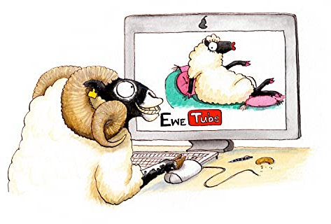 Funny Schaf Grußkarte. Ewe Tube von Alex Underdown. Ein tolles Geschenk Idee für Bauern, kleinbauern und Hirten