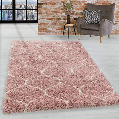 HomebyHome Tapis Salon Moderne Tapis Chambre Adulte Tapis Rose 240x340 cm - Tapis Shaggy Salle de Séjour Tapis Poil Long Concevoir Marocain Tapis Doux et Moelleux - Tapis Cuisine Moquette Salon