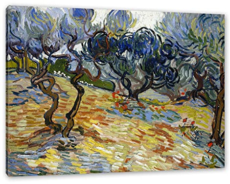 Pixxprint Vincent Van Gogh - Oliven-Bäume, Größe: 60x40cm, Leinwandbild, fertig gespannt, Wandbild, Dekoration, Kunstdruck, kein Poster