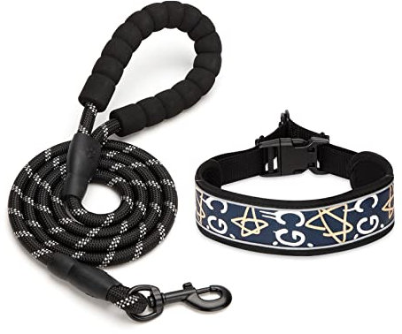 Reflektierendes Hundehalsband Gepolstert Schwarz Halsband und Leine Set Polyester Schaumstoffgriff Weichem Atmungsaktiv Einstellbar für Kleine Mittlere Große Haustiere