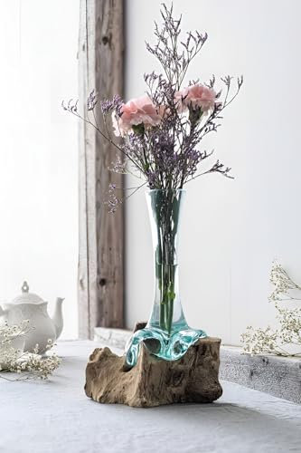 Dekoleidenschaft Vase en bois de racine et verre - Artisanat balinais - Vase en verre dans une racine