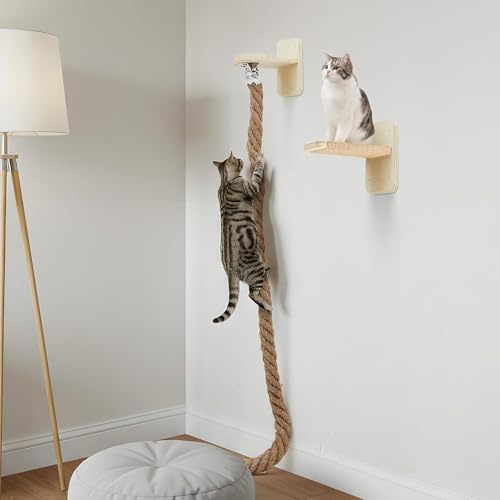 Fixation Murale Cat Tree, équipée de Corde Escalade, la Plateforme de Saut Offre Jeu, Repos, Arbre a Chat décoration de la Maison Cat.