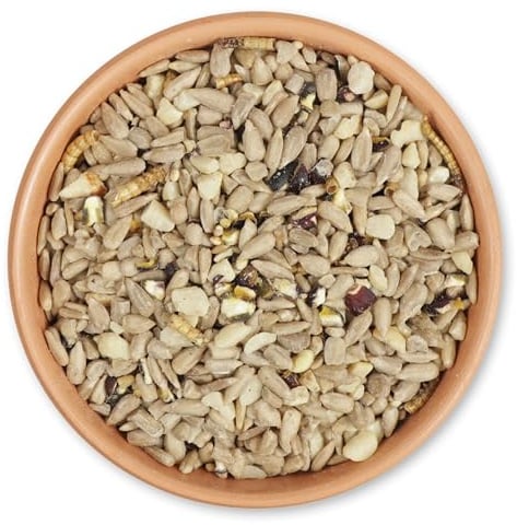 CJ Wildlife Vogelfutter Wildvögel ganzjährig 1kg – Wildvogelfutter – geschälte Samen mit Eiweiß – energiereiche Samenmischung