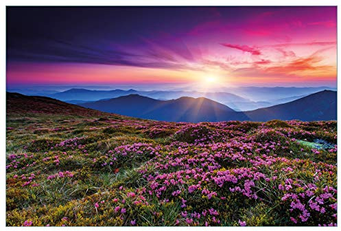 Wallario Küchenrückwand selbstklebend 90 x 60 cm, Motiv: Blumenbedeckte Wiese bei Sonnenuntergang | Spritzschutz abwischbar & pflegeleicht
