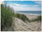 ARTland Wanddeko Wandtattoo selbstklebende Vinylfolie 80x60 cm Strand Meer Küste Düne Landschaft Natur Maritim Nordsee T1OE