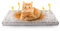 FurDreams Pet Bed - Self Heating Thermal Pads - Calming Mat Blanket for Indoors & Outdoors - Suited to Household Animals - Plush, Washable, Non-Electric & Noiseless Heat Pad (70 x 47cm)