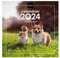 Finocam Kalender für Wandbilder, 30 x 30 cm, für Notizen 2024 Januar 2024 – Dezember 2024 (12 Monate), französische Hunde und Katzen